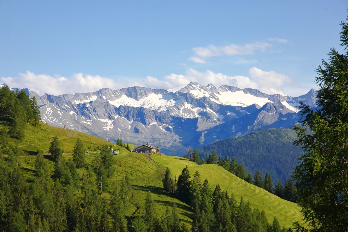 Erlenhof Appartements